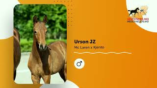 Urson JZ  Mc Laren x Kjento [upl. by Ikeda]