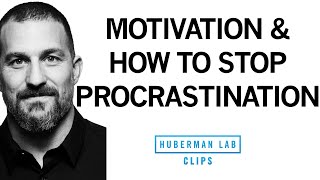 How to Stop Procrastination amp Increase Motivation  Dr Andrew Huberman [upl. by Allisan]