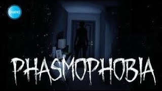 【PhasmoPhobia】久々に4人でバイト [upl. by Wilser]