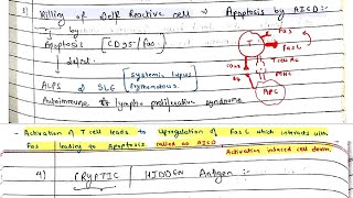 Immunological TOLERANCE  Pathology  Microbiology  Immunity [upl. by Cerf]