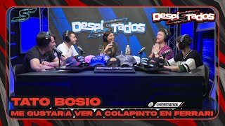 DESPISTADOS  BOSIO  Me gustaría ver a Colapinto en Ferrari [upl. by Akkin599]