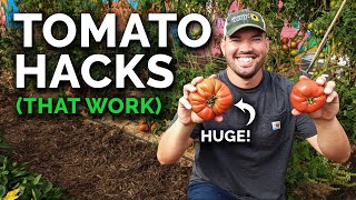 9 Tomato Growing Tips That Actually Work [upl. by Nevetse]