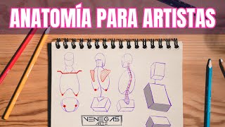 ¡Aprendiendo a dibujar anatomía Nueva Serie [upl. by Drofdeb]