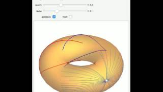 Geodesics and Conjugate Loci on a Torus [upl. by Anirb639]