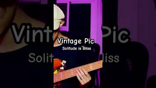 ชาติ ศาสนา Solitude is Bliss bass basscover vintagepic coverbass เบสแน่น เบสนิ่มๆ [upl. by Donelle]