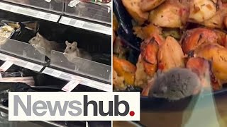 Oh rats Shock as rodent spotted in ANOTHER Countdown store  Newshub [upl. by Notnilc]