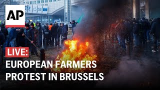 Europe farmers protest LIVE Protesters gather outside EU headquarters in Brussels [upl. by Higley275]