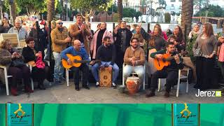 Zambomba GRUPO DUENDE PLAZA ARENAL Jerez TV 2018 [upl. by Risay911]