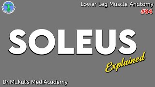 Soleus Muscle ExplainedOriginInsertionAction84 [upl. by Zetneuq]