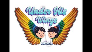 VBS Ministries Bangalore since 1952 2024 Hindi Theme Songs UNDER HIS WINGS Psalm 914 [upl. by Jac709]