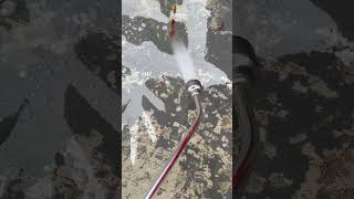 HOW TO SEAL CONCRETE BRICK PAVERS BLUESTONE LIMESTONE WITH A SOLVENT NATURAL PENETRATING SEALER wow [upl. by Chrissie]