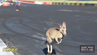 SKIPPY GETS DISQUALIFIED AT BRASHERNATS [upl. by Rebba985]