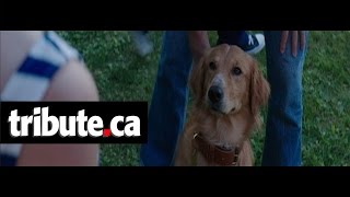 A Dogs Purpose  Movie Clip quotBailey Notices Smell” [upl. by Raffarty681]