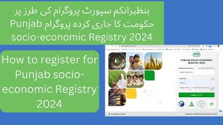 Punjab socioeconomic Registry 2024  PSER  how to register for Punjab SocioEconomic Registry 2024 [upl. by Oesile]