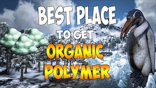 BEST Place To Get Organic Polymer On the Island Map In Ark Survival Evolved [upl. by Reave]