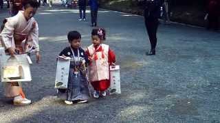 Japanese kids dressed in traditional kimonos  very cute [upl. by Ban]