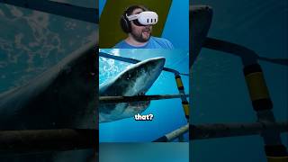 Funny Shark Encounter in VR 🤣 [upl. by Claresta792]