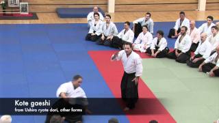 Aikido Christian Tissier UK 2011 Kote gaeshi [upl. by Bennett]