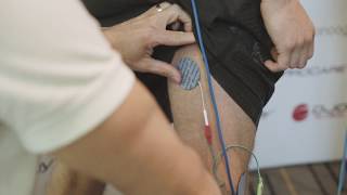 Measure Muscle Activity with EMG Biofeedback  Well Aligned Cammeray [upl. by Strep807]