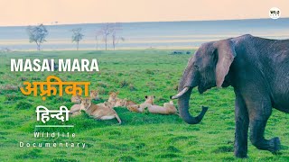 Masai Mara  हिन्दी डॉक्यूमेंट्री  African Wildlife stories documentary in Hindi [upl. by Karr671]