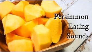 【飯テロ系ASMR】柿 Persimmon Eating Sounds【咀嚼音】 [upl. by Hajidahk]