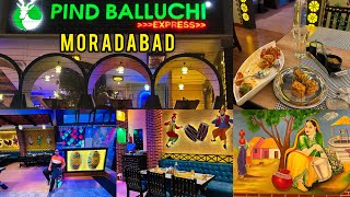 Best Restaurant of Moradabad 2024  Pind Balluchi Express at High Street [upl. by Eledoya915]