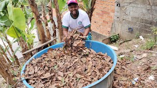 COMO FAZER COMPOSTAGEM DE FOLHA SECA EM CAIXA DÁGUA NO QUINTAL DE CASA [upl. by Wrigley395]