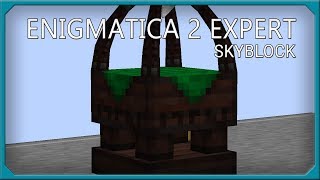 Enigmatica 2 Expert Skyblock EP18 Thaumcraft Progression [upl. by Saville]