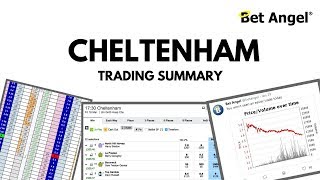 Peter Webb Bet Angel  Cheltenham trading summary [upl. by Gebhardt]