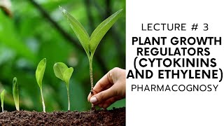 PHARMACOGNOSY  PLANT GROWTH REGULATORS  CYTOKININS AND ETHYLENE  LECTURE  3 [upl. by Enyaw]