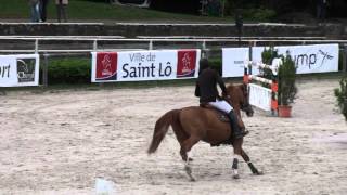 Osiris du Goyen Le Tot de Semilly [upl. by Latea]