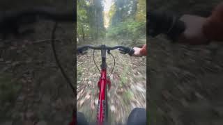 MTB Trail in woods mtb trails fyp [upl. by Assira428]