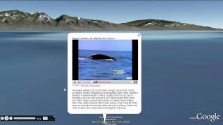 Explore the Ocean in Google Earth with Sylvia Earle [upl. by Yllek663]