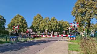 Spoorwegovergang Doetinchem de Huet  Dutch Railroad Crossing [upl. by Jezabel592]