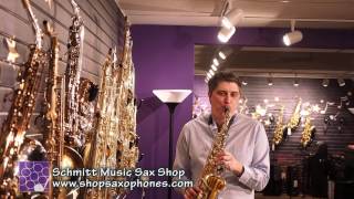 Alto Sax Comparison  Part 1 Yanagisawa AW010 [upl. by Thornie]