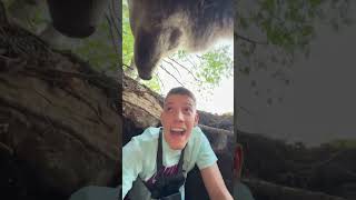 STUCK WITH A BEAR😳 stefanjankovich [upl. by Hooke]