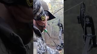 BOW Hunting With SEEK ONE Deer Down [upl. by Reichert]