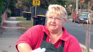 How To Grow Grass From Seed  DIY At Bunnings [upl. by Adnalor349]