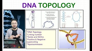 DNA Topology I Linking Number I DNA Supercoiling I ARS Agri Biotechnology CSIRJRF ICARJRFSRF [upl. by Ayidan]