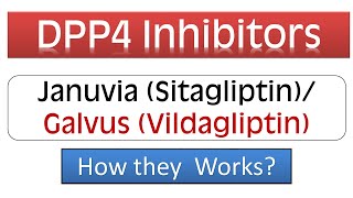 DPP4 Inhibitors  Januvia Sitagliptin Galvus Vidagliptin  Pharmacology amp Mechanism of Action [upl. by Randy]