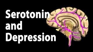 Serotonin and Treatments for Depression Animation [upl. by Aicenat]