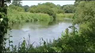 HAMPSHIRE AVON LIFELANDS FISHERY RINGWOOD HAMPSHIRE [upl. by Malonis]