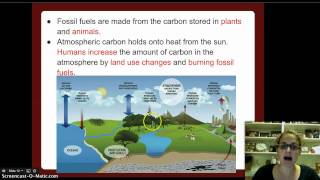 Biogeochemical Cycles [upl. by Anoik]