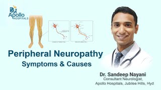 Peripheral Neuropathy Symptoms amp Causes  Dr Sandeep Nayani Neurologist  Apollo Hospitals Hyd [upl. by Garrick]