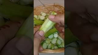 Achari turai recipe by cooking with meerab style 👍💯shorts viral [upl. by Colas479]