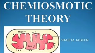 Chemiosmotic Theory Chemiosmosis  Oxidative phosphorylation  Biological Oxidation  Biochemistry [upl. by Thalia109]