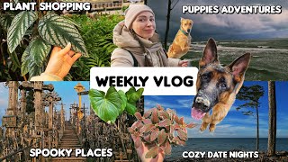 Weekly vlog 💀 Enjoying life with 2 dogs🐶🐶 Plant shopping and exploring abandoned places 🕸 [upl. by Niliram]