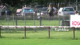 Whippet Saluki Basenji and Italian Greyhound racing Kuninkuusjuoksut  Finaalit [upl. by Erdne]