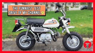 1978 Honda Z50 Monkey REVIEW  1978 Honda z50 minitrial quotmonkeylike [upl. by Fesuy]