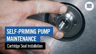 SelfPriming Pump Maintenance  Cartridge Seal Installation [upl. by Naggem]